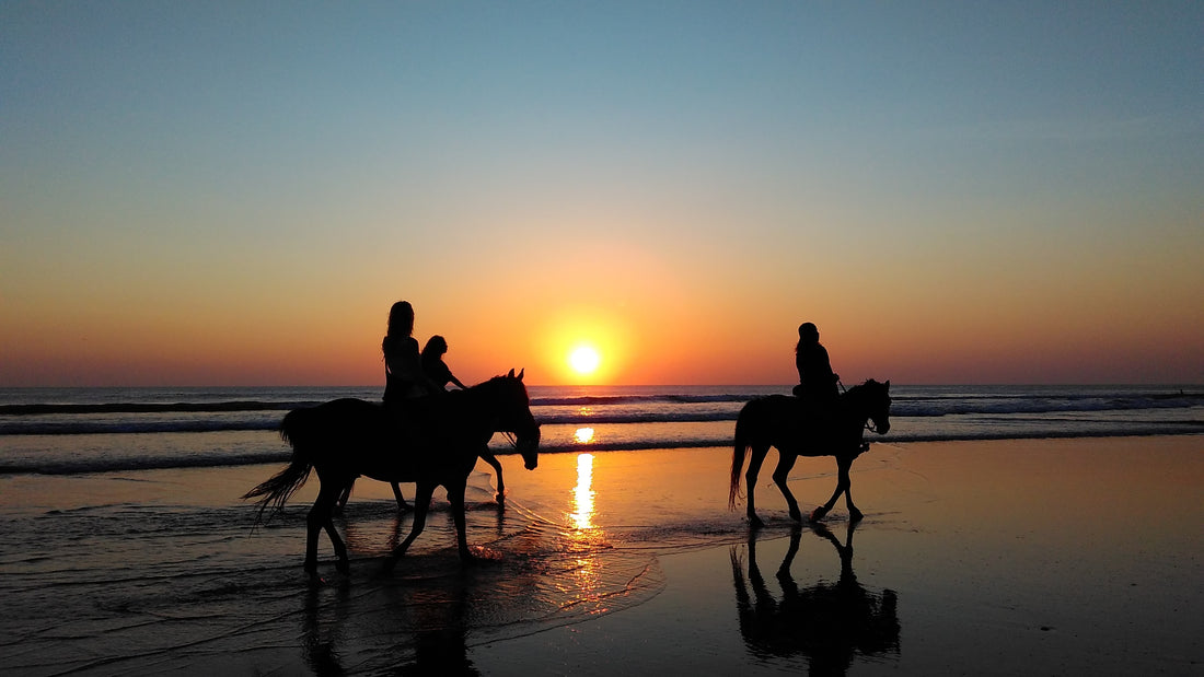 Ride Smart, Ride Protected: The Benefits of Long Sleeve Sun Shirts for Equestrians