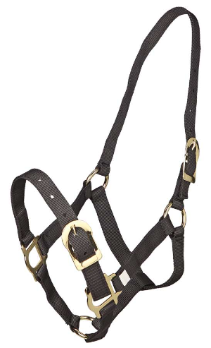 Zilco PP Halter - Full Size Black