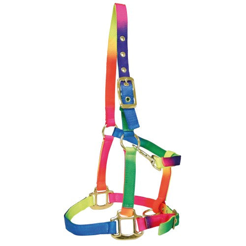 Bambino Rainbow Halter