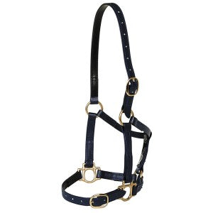 Horse Sense Designer Halter