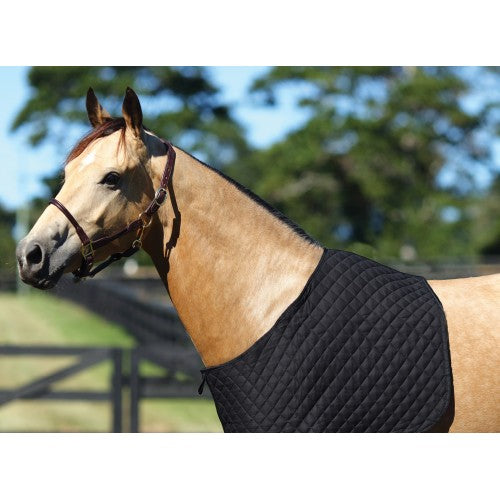 Showmaster Quilted Rug Bib